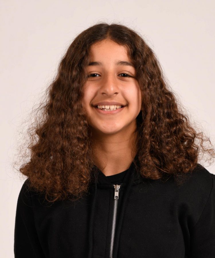 Sarah Falahahwazi