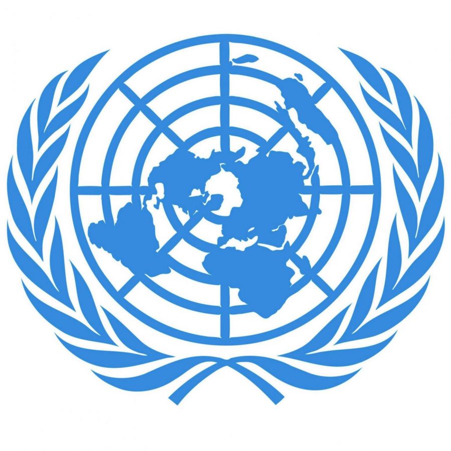 Model United Nations delegates adapt to online conferences