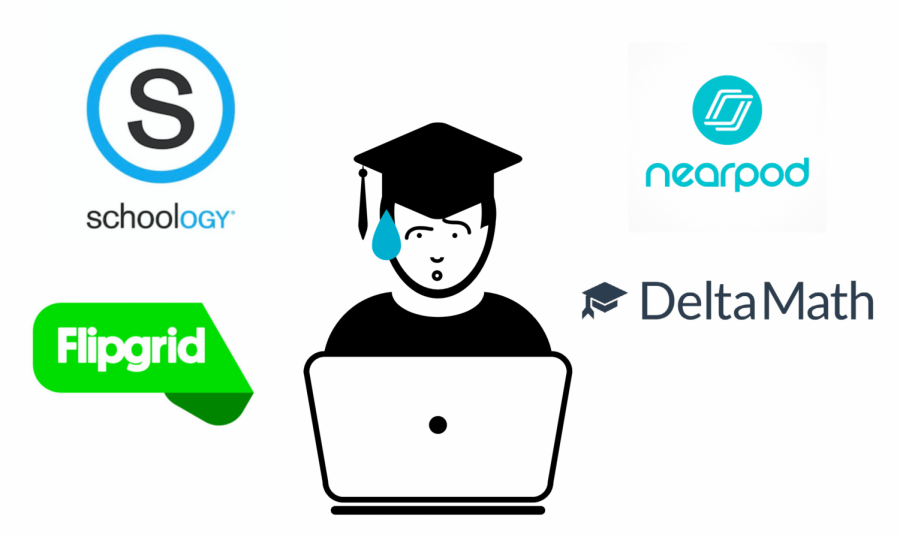Online learning resources: Are they all necessary?