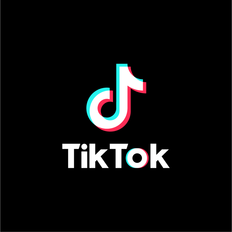 Image from tiktok.com