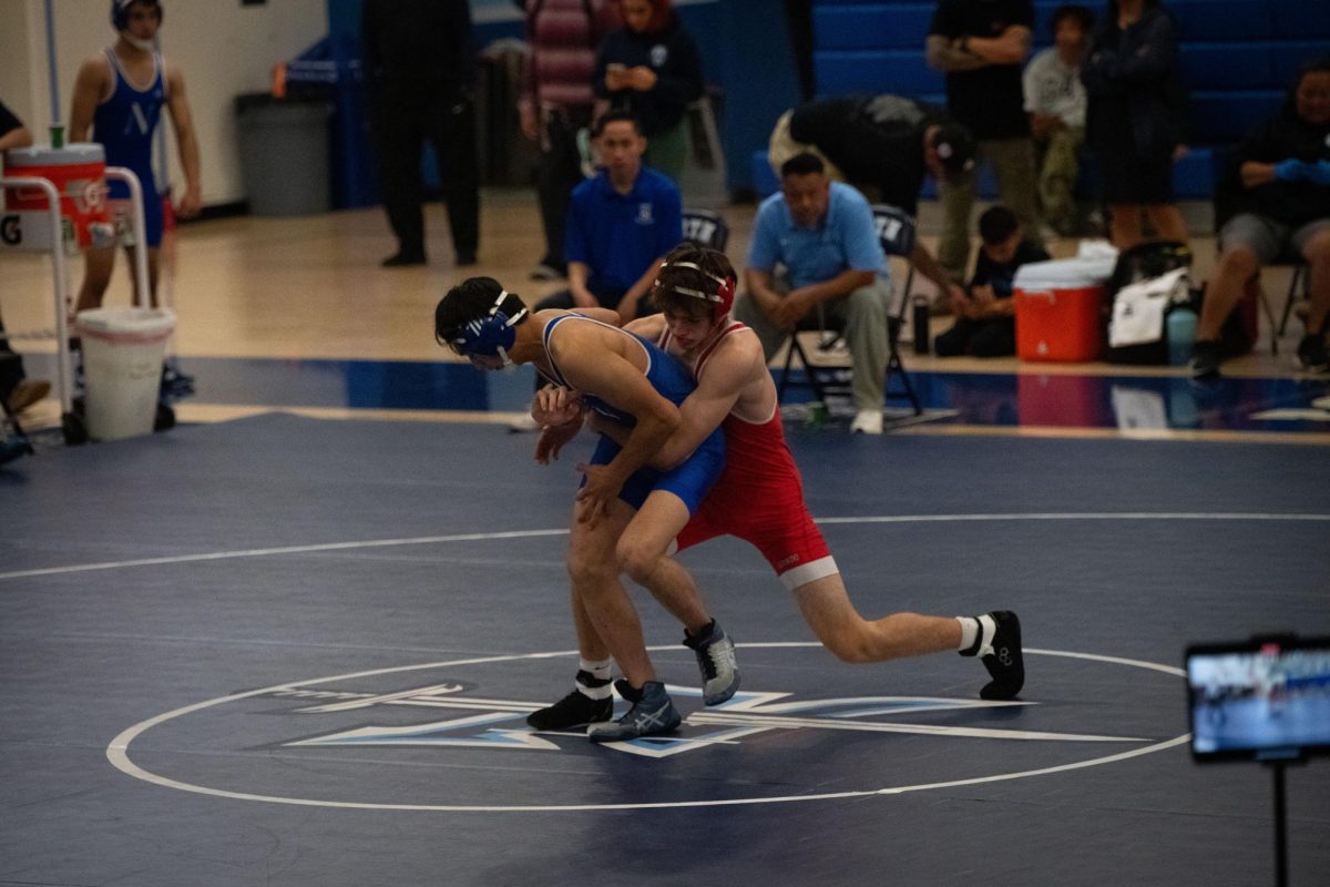 Its Wrestling Season