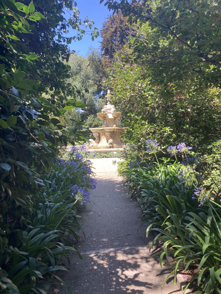 Photo courtesy of Leyla Evenson