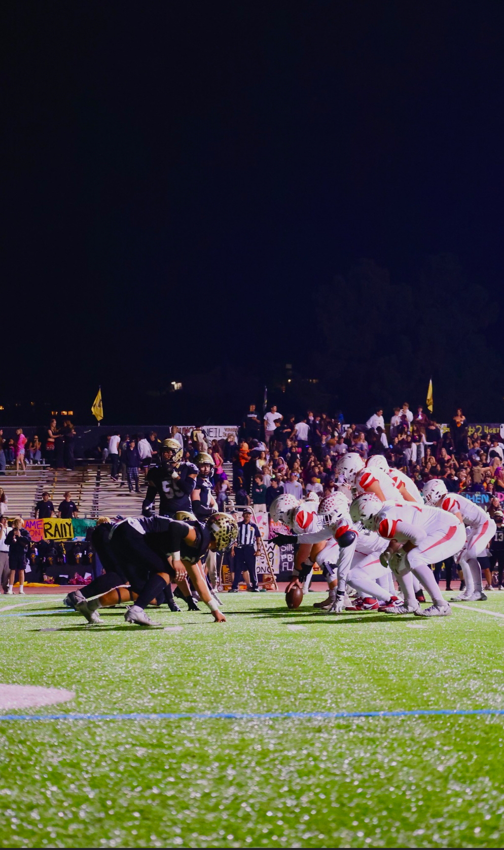 Photo courtesy of Francisco Villegas.